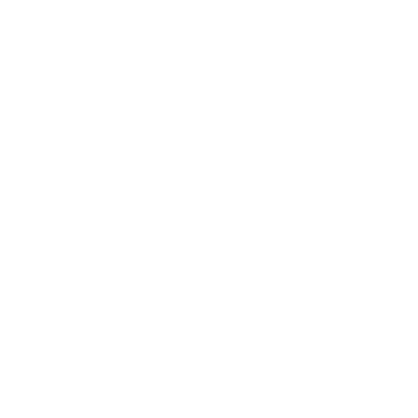 Partner logo 2