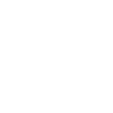 Partner logo 4